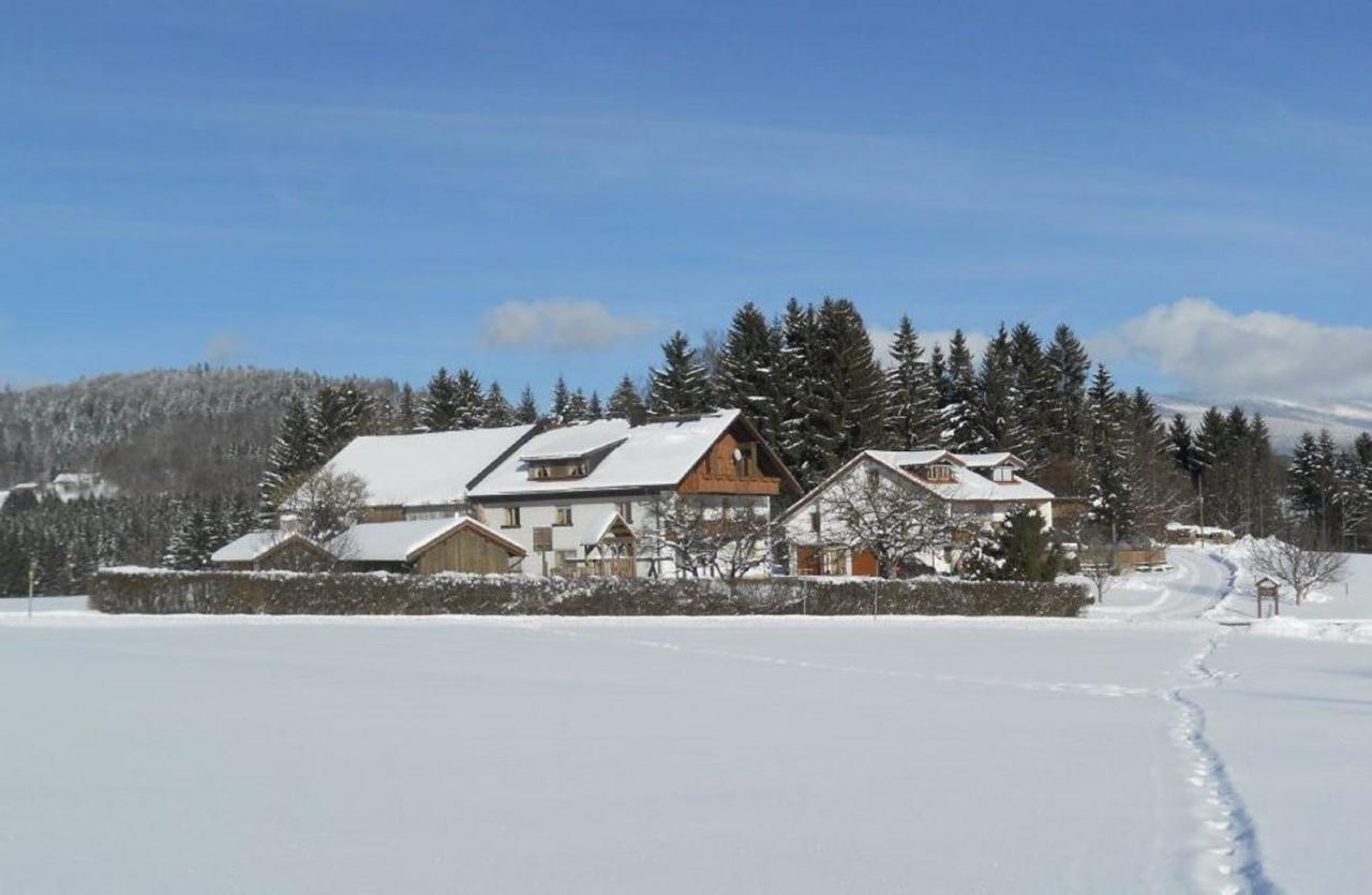 Villa Der Bauernhof Beim Bergler à Neureichenau Extérieur photo